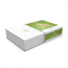 Charger l'image dans la galerie, Collier plaqué or 18 carats CHOCLI "horse" - cheval