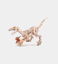 Load image into Gallery viewer, Rolife Vélociraptor - Puzzle 3D Mécanique en Bois