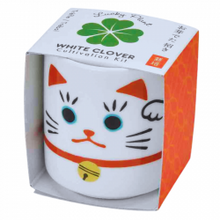 Load image into Gallery viewer, Kit de culture japonais avec son pot en céramique Maneki Neko dans sa boîte cartonnée orange.