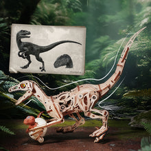 Load image into Gallery viewer, Rolife Vélociraptor - Puzzle 3D Mécanique en Bois
