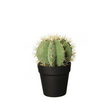 Load image into Gallery viewer, Cactus Artificiel Décoratif - ASA Selection
