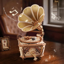Load image into Gallery viewer, ROKR Diva Gramophone - Détail du disque en acrylique et de la pointe

