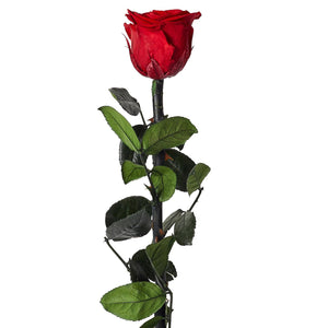 Rose artificielle à offrir - 30 cm