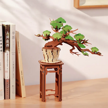Load image into Gallery viewer, Rolife Evergreen Pine Bonsai - Bonsaï en bois exposé sur une étagère
