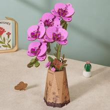 Load image into Gallery viewer, Rowood Purple Moth Orchid - Orchidée en bois dans son pot en carton
