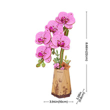Load image into Gallery viewer, Rowood Purple Moth Orchid - Schéma coté : 22 cm de haut
