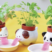 Load image into Gallery viewer, Mise en scène amusante de la collection de pots Peropon chat, chien et panda avec des plantes ayant déjà poussé.

