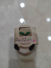 Load image into Gallery viewer, Détail de l'emballage en carton du kit de plantation Peropon avec son logo feuille.
