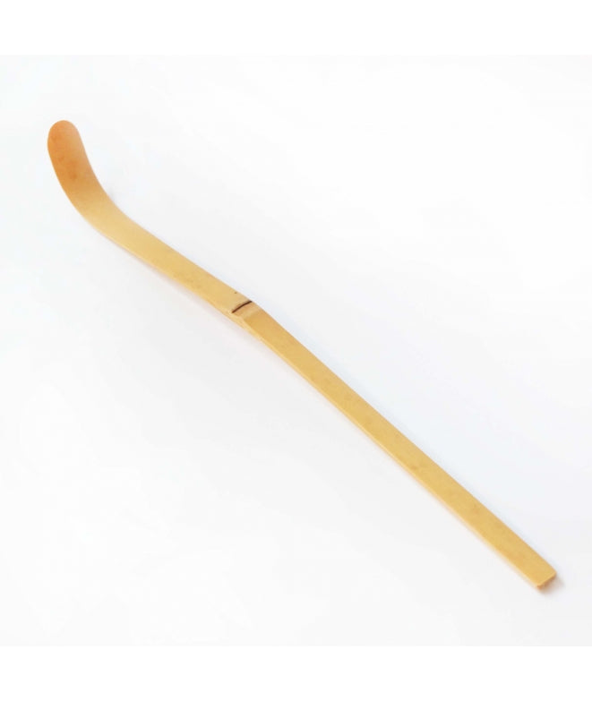 Matcha Chashaku Tea Spoon - 18cm (TOKYO DESIGN STUDIO)